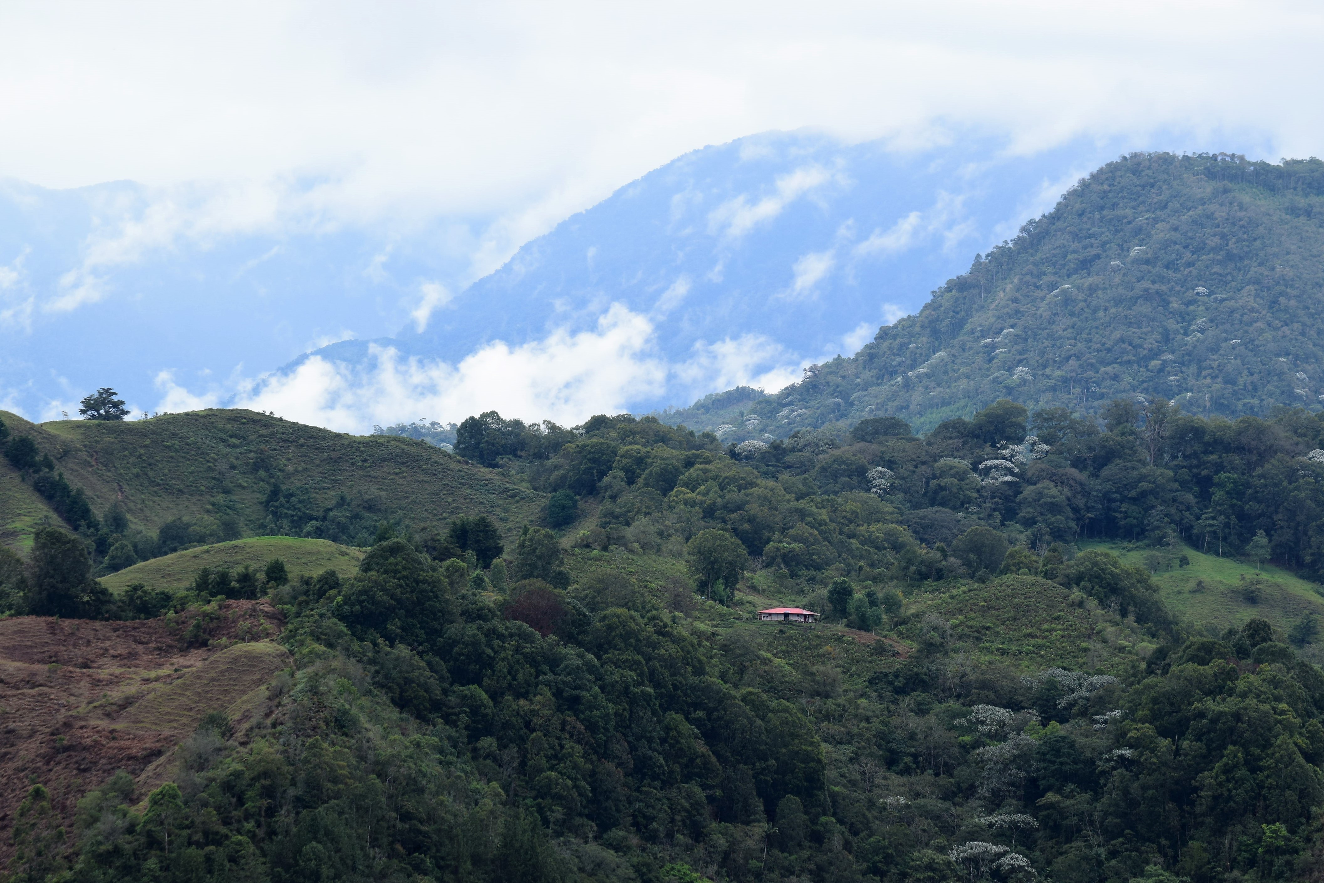 dsc_0515-2