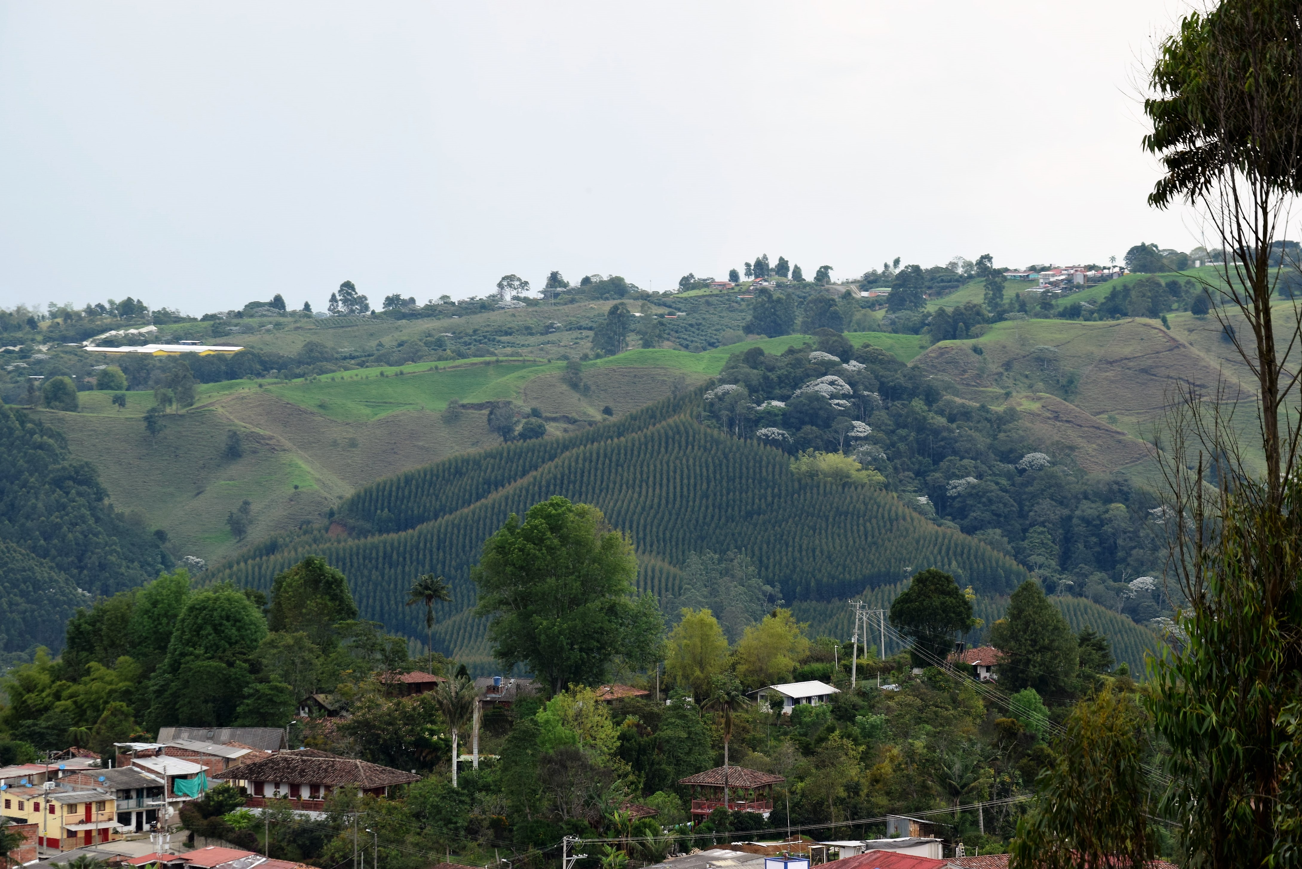 dsc_0525-2